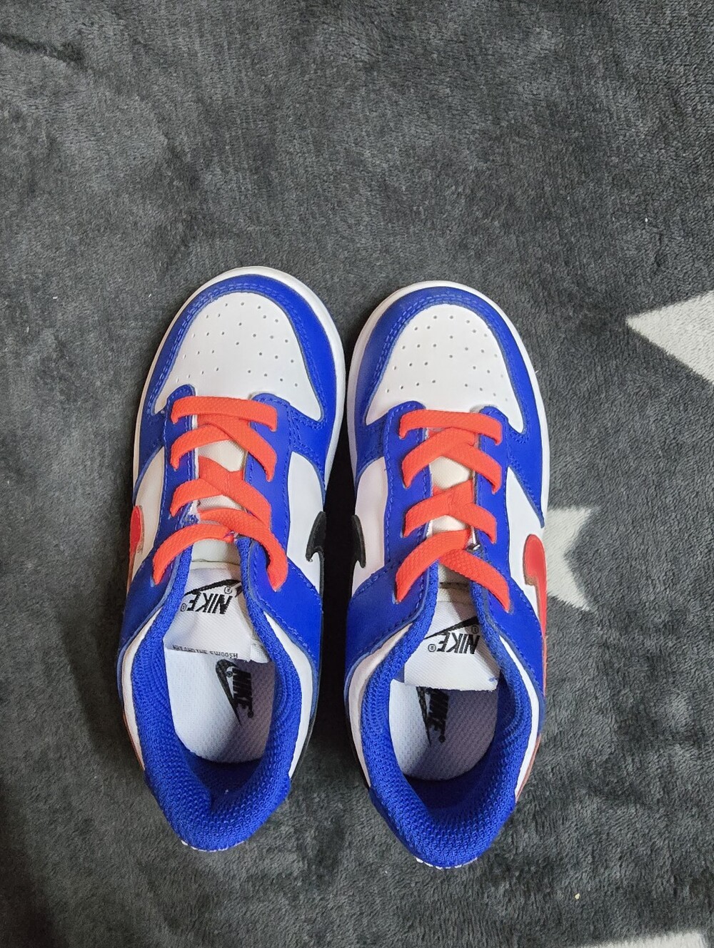 Toddler Nike Dunk Low